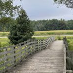 Boardwalk on the Gold Star Memorial Trail Dodge County WI