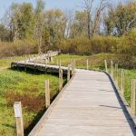 Boardwalk in fall at Harnischfeger Park Dodge County Wisconsin