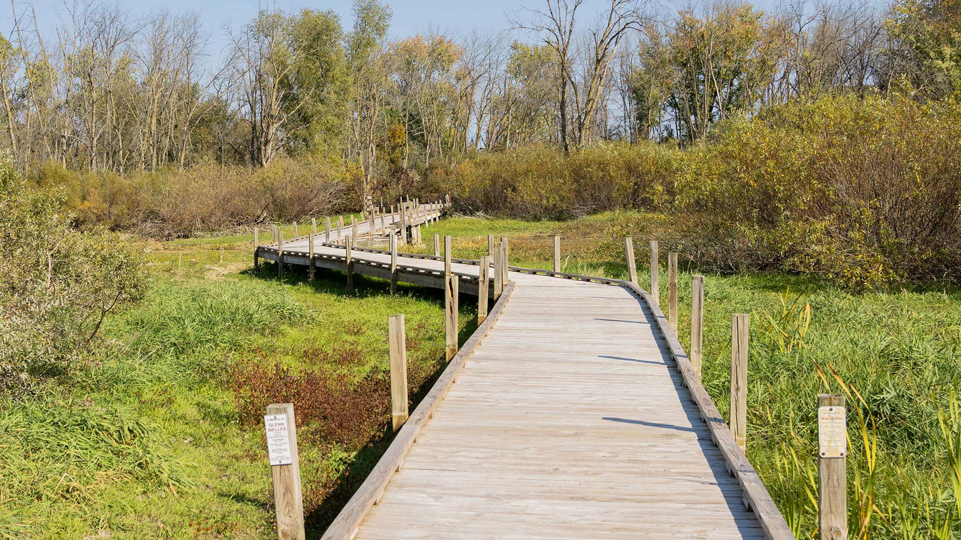 Boardwalk in fall at Harnischfeger Park Dodge County Wisconsin