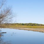 Fall scenery at Mud Lake Wildlife Area near Watertown Wisconsin