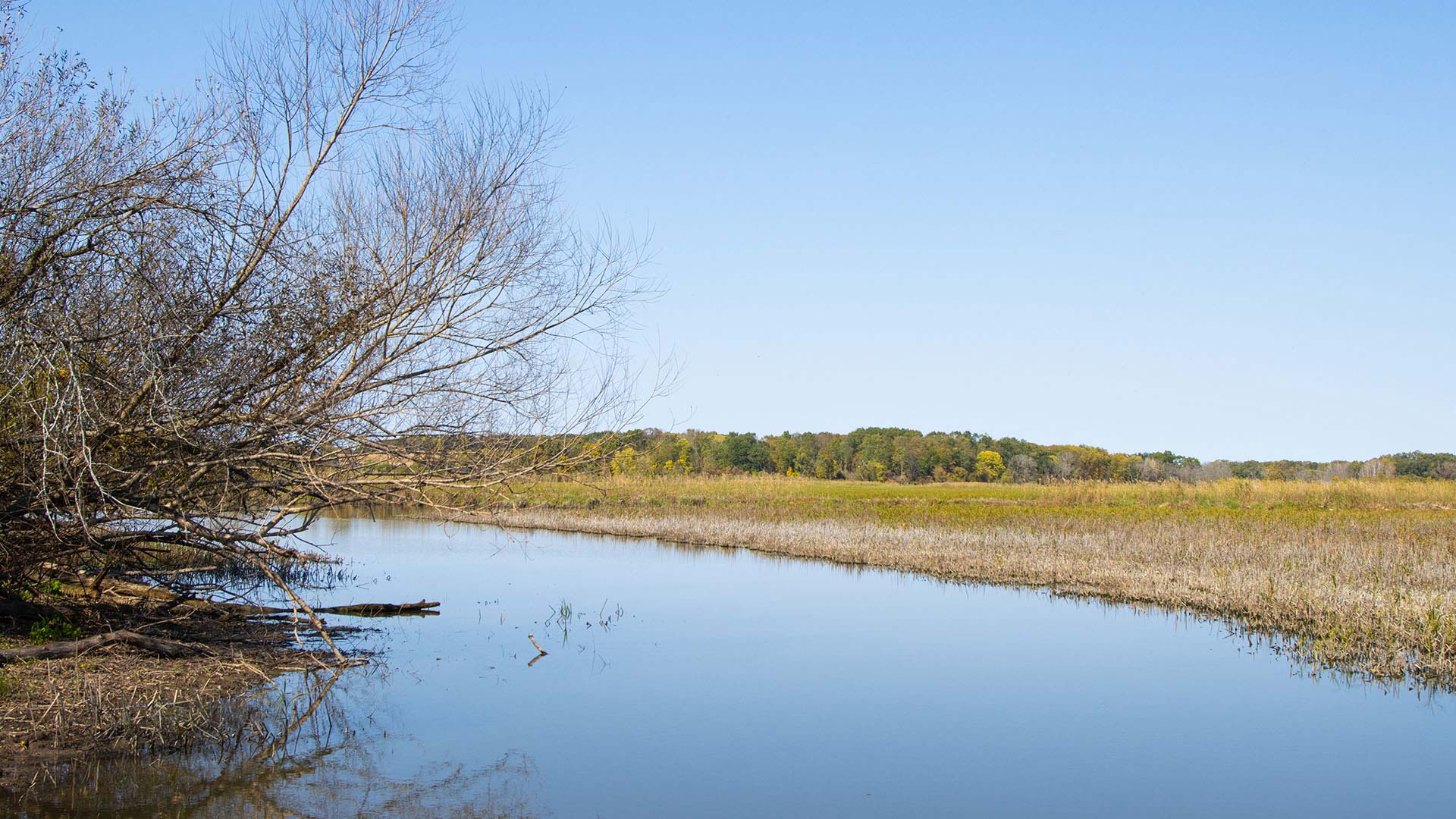 Fall scenery at Mud Lake Wildlife Area near Watertown Wisconsin