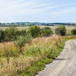 Summer scenery at Theresa Marsh Wildlife Area