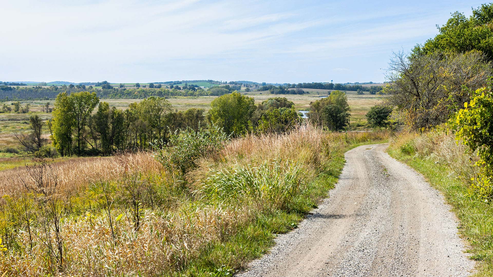 Summer scenery at Theresa Marsh Wildlife Area