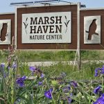 Marsh Haven Nature Trail sign