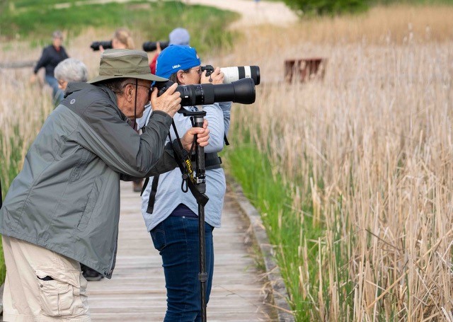 Group of people bird watching