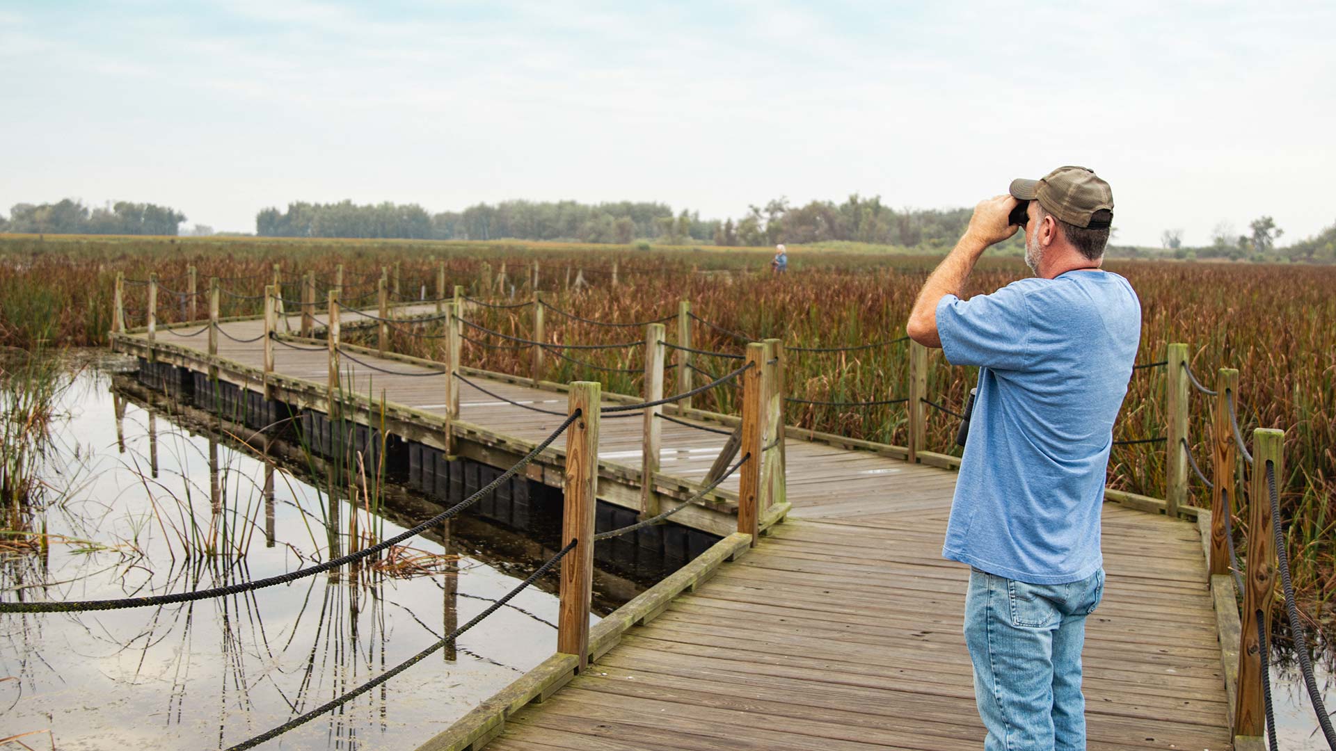 Man standing on a path at Horicon Marsh using binoculars to watch for birds