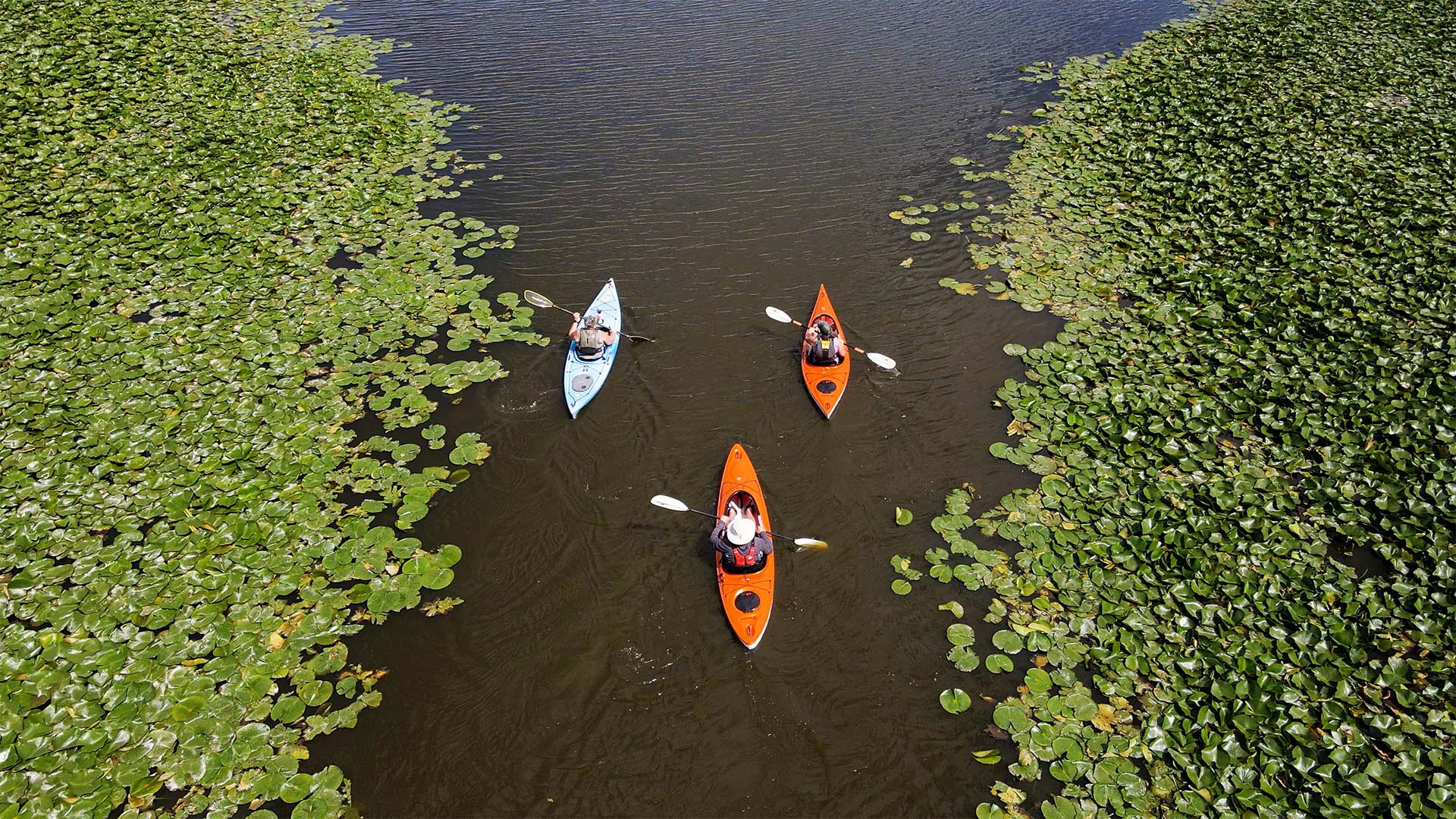 Ariel view of 3 kayakers paddling