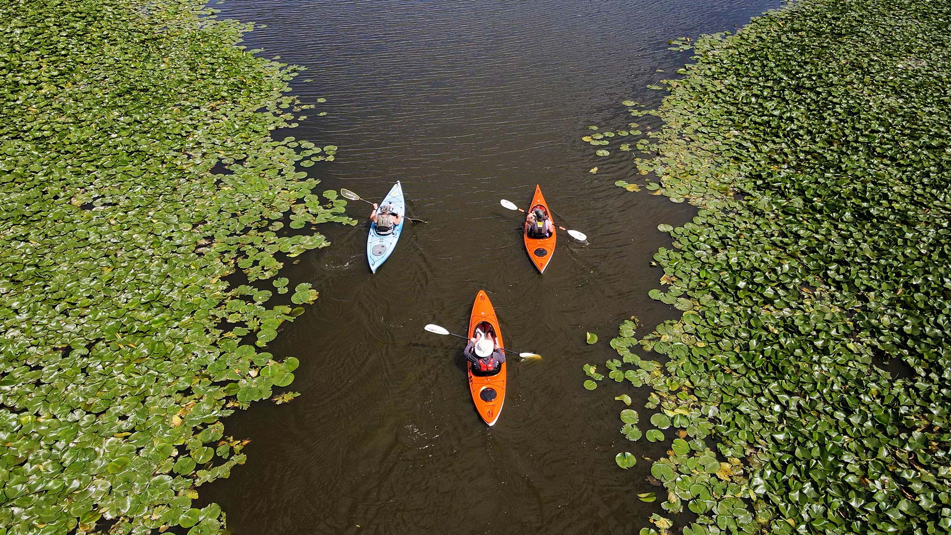 Kayakers on Lake Sinissippi Dodge County WI