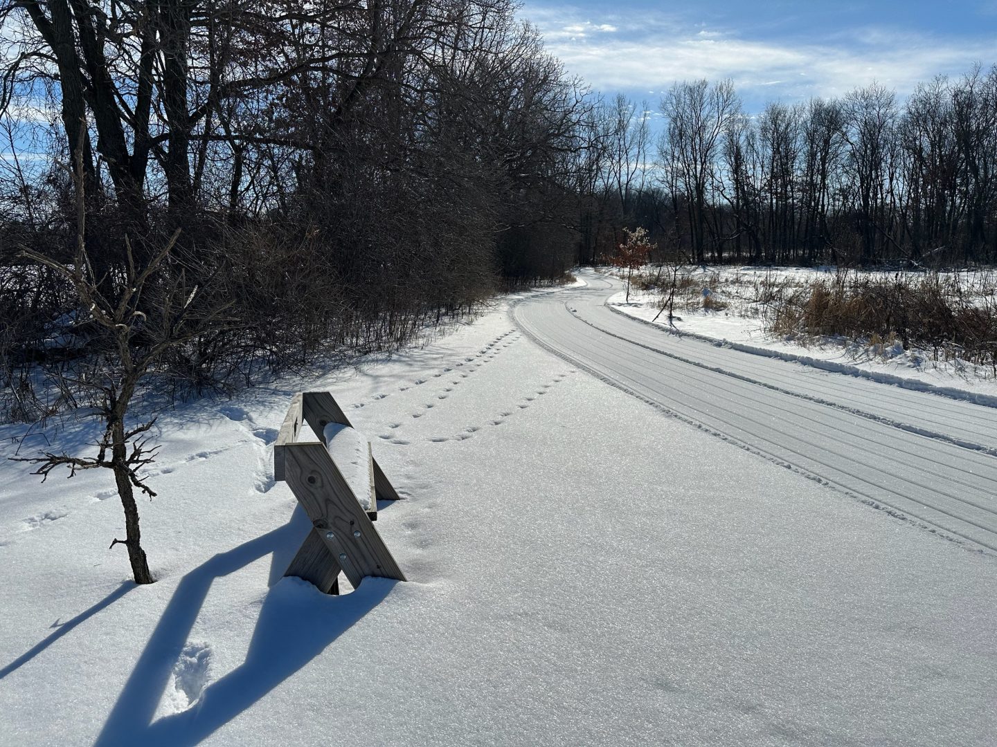 Groomed trail for winter cross-country skiing