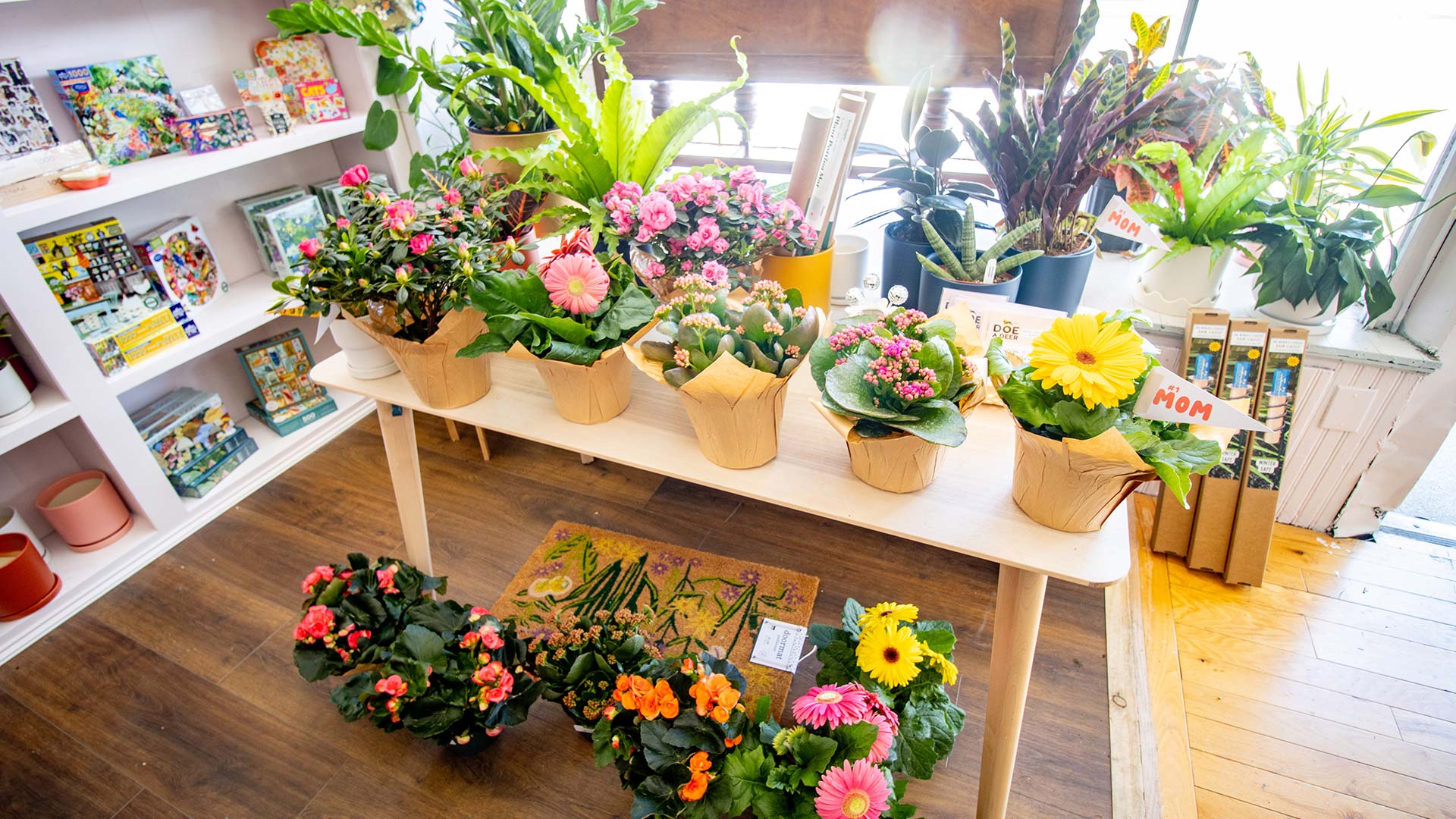 Flowers for sale on display
