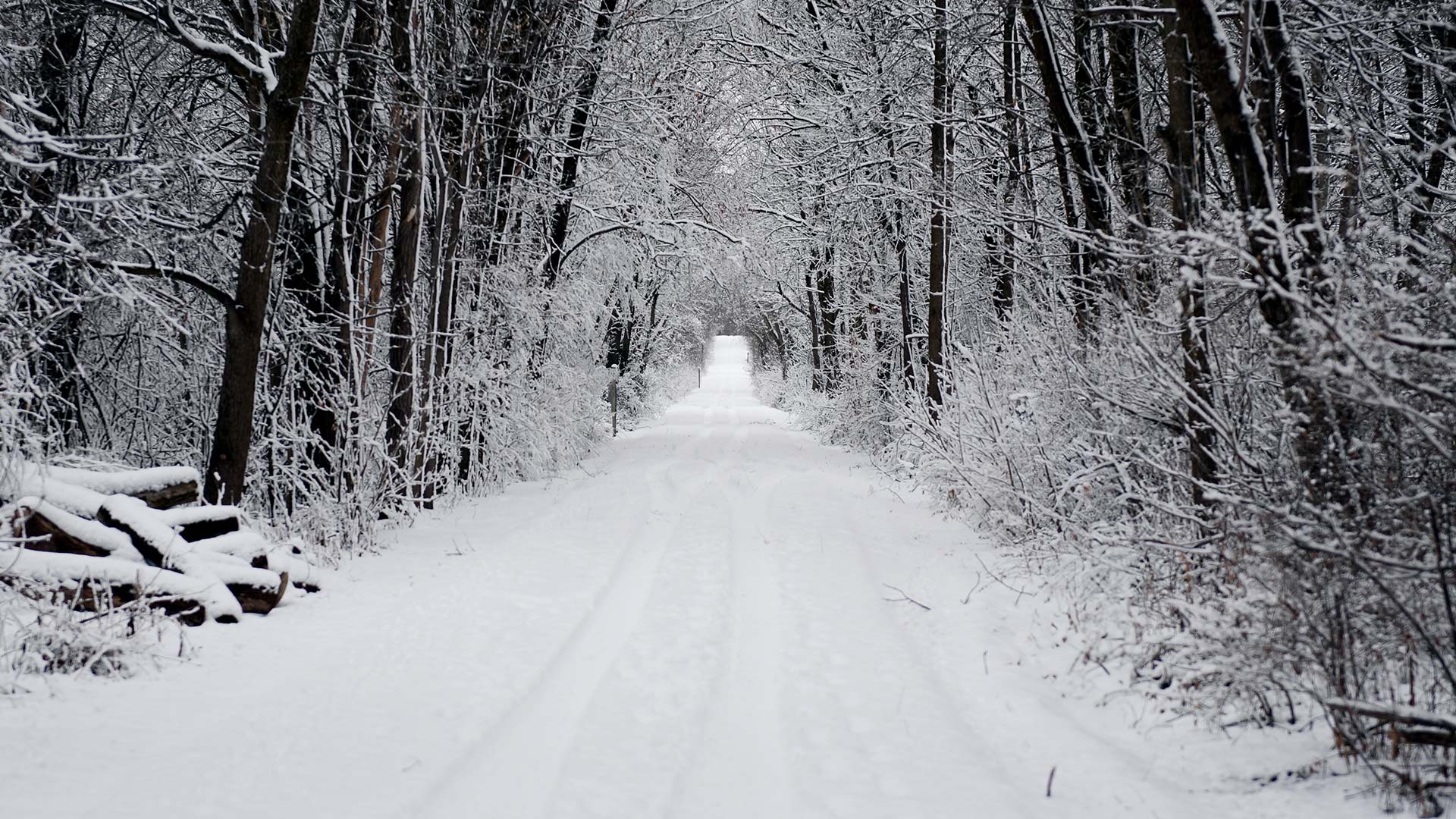 Snowmobiling path on Wild Goose State Trail