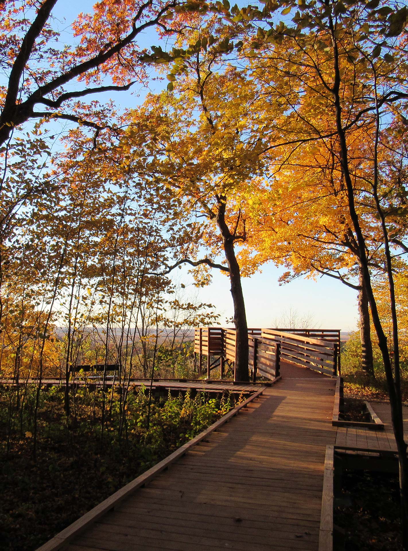 Fall boardwalk at Ledge Park