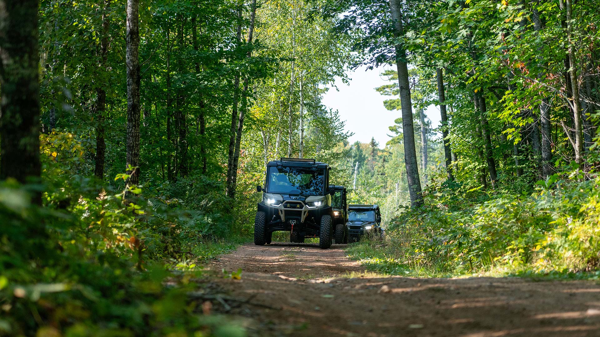 UTVers driving on a dirt trail between the trees
